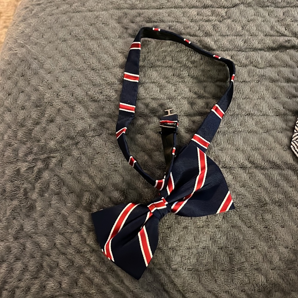 Multi-colored bowtie - Picture 2 of 2